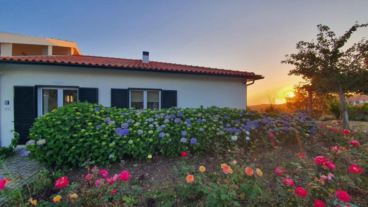 Vila Coja Mountain Perch Vinho  Exteriér fotografie