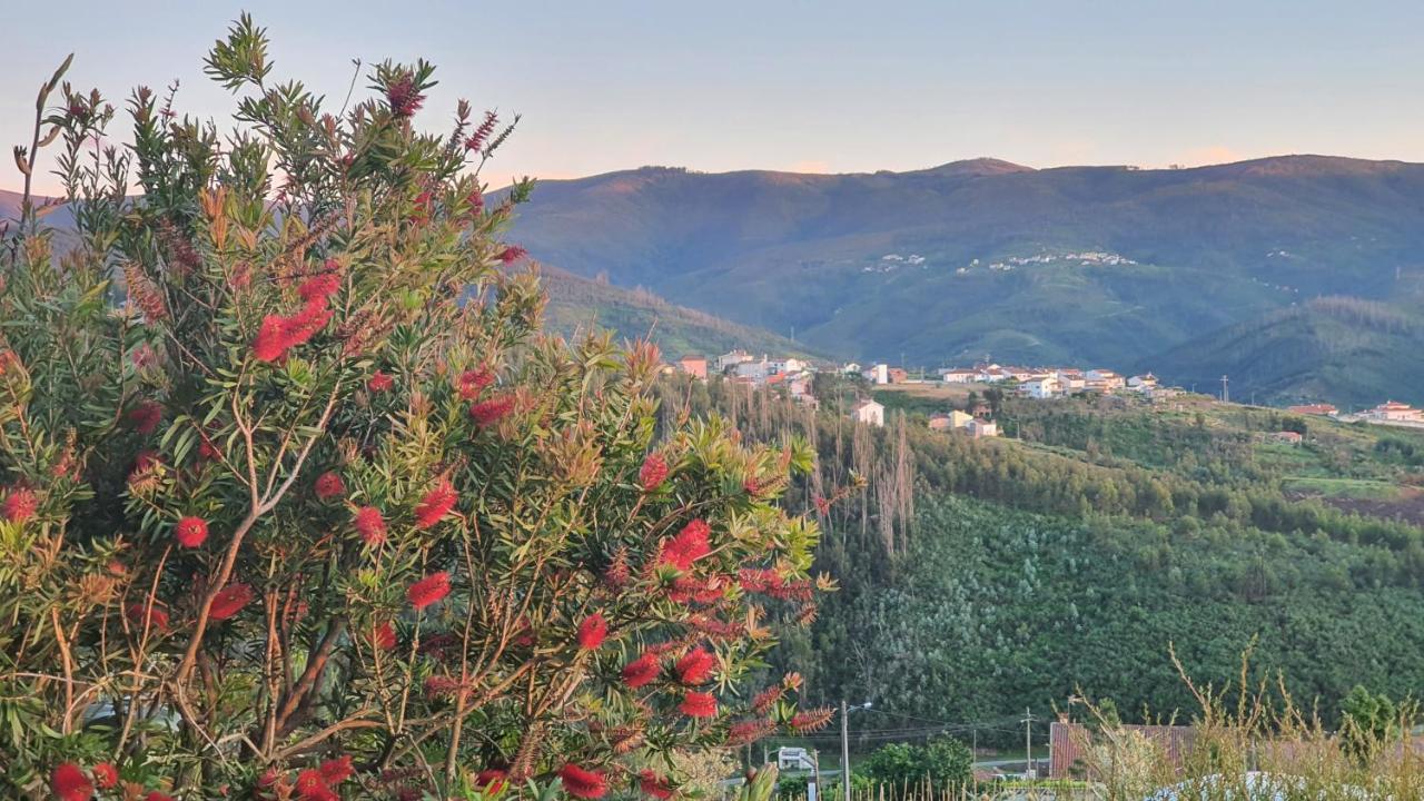 Vila Coja Mountain Perch Vinho  Exteriér fotografie