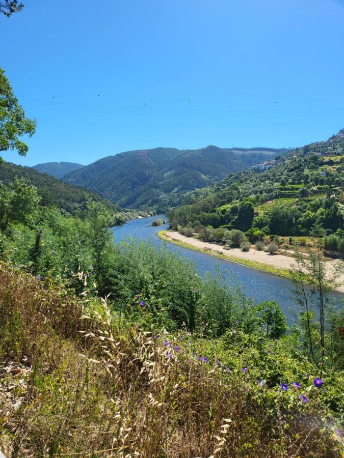 Vila Coja Mountain Perch Vinho  Exteriér fotografie