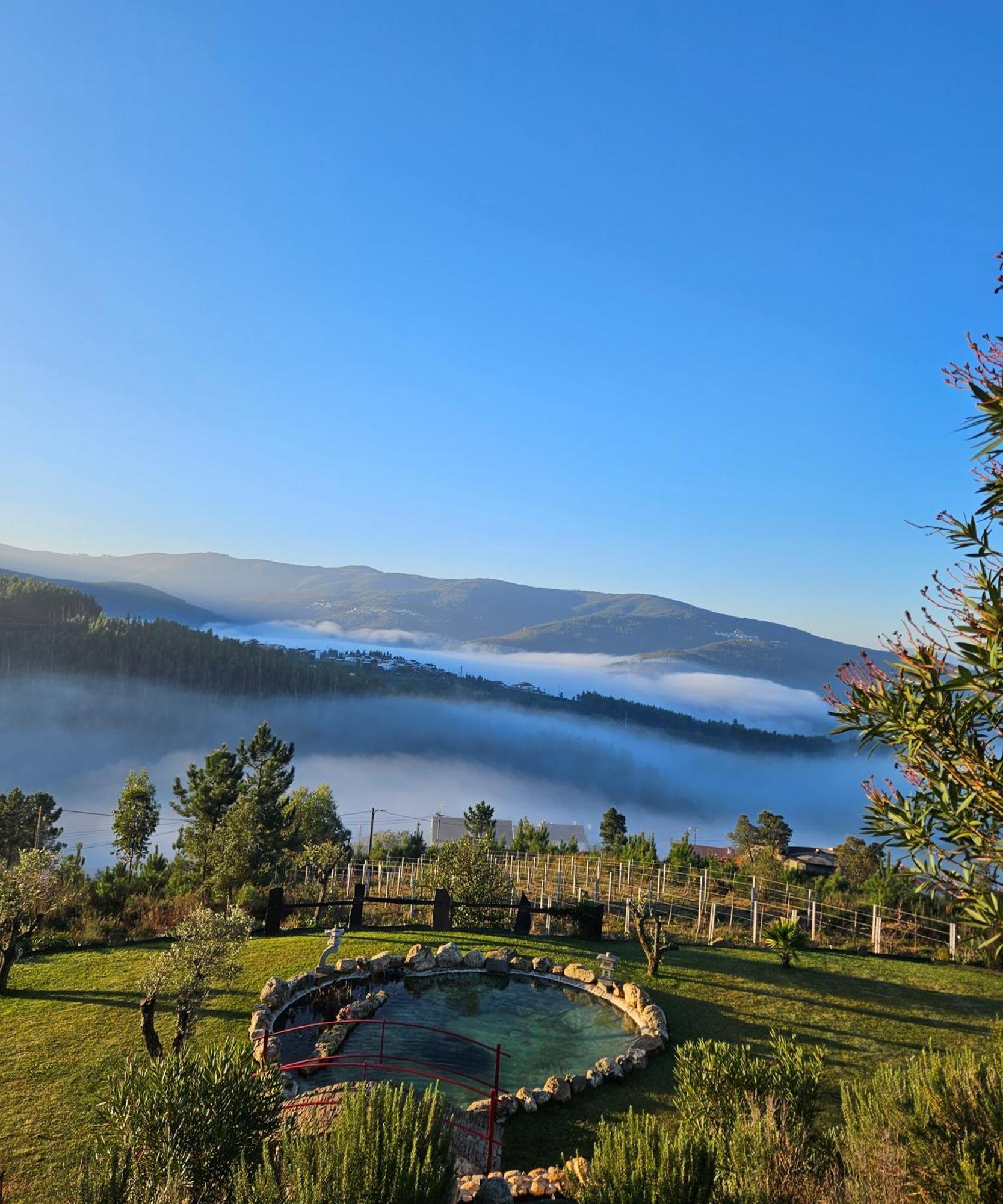 Vila Coja Mountain Perch Vinho  Exteriér fotografie